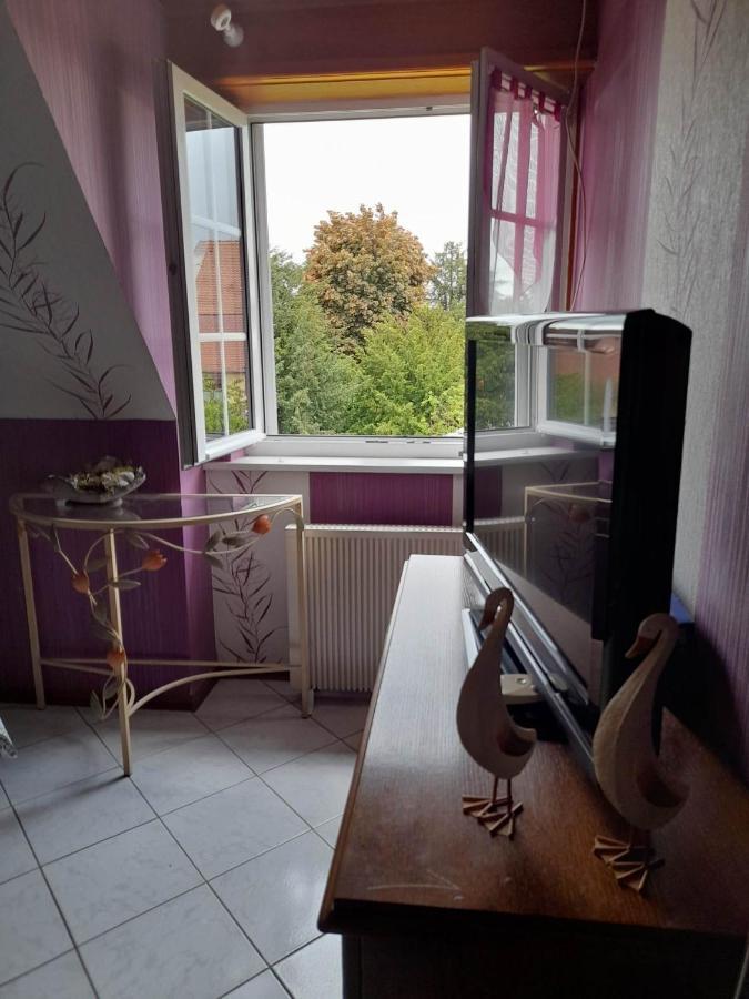 Apartment Le Jardin De Hermolsheim. Alsace Tres Spacieux *