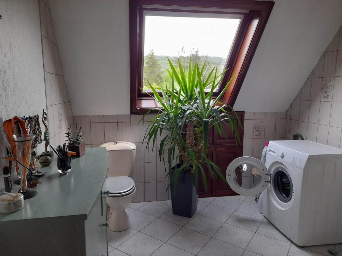 Le Jardin De Hermolsheim. Alsace Tres Spacieux Apartment *
